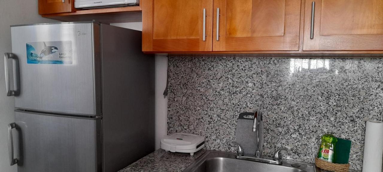 Residencial Palmas De Gurabo Apartman Santiago De Los Caballeros Kültér fotó